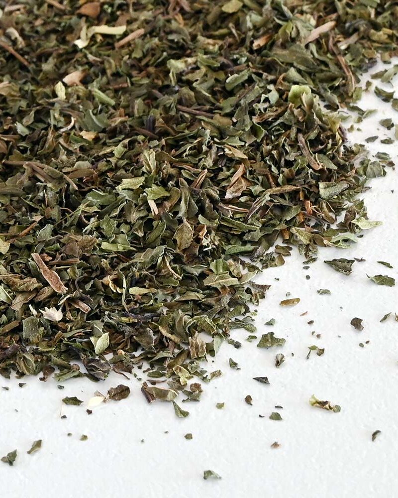 Menta piperita