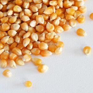 Palomitas