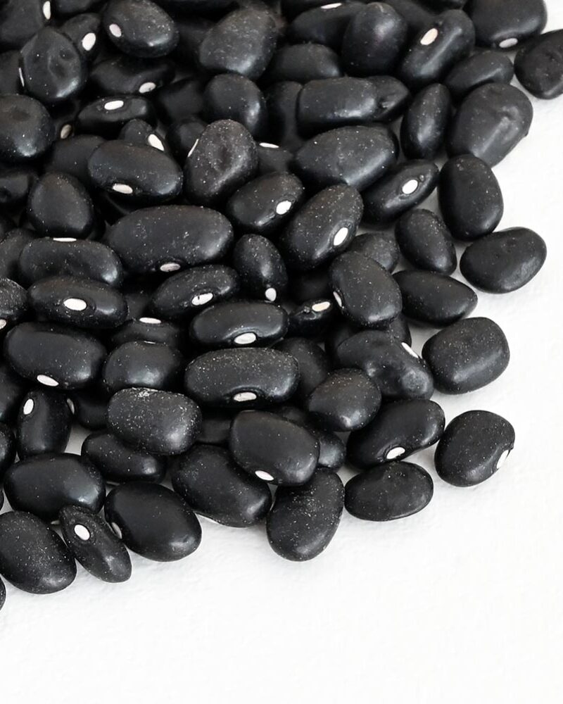 Alubia negra